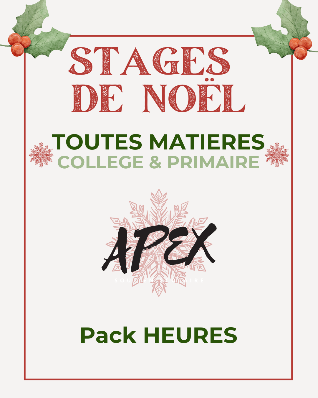 Stage-de-Noël-collège-et-primaire