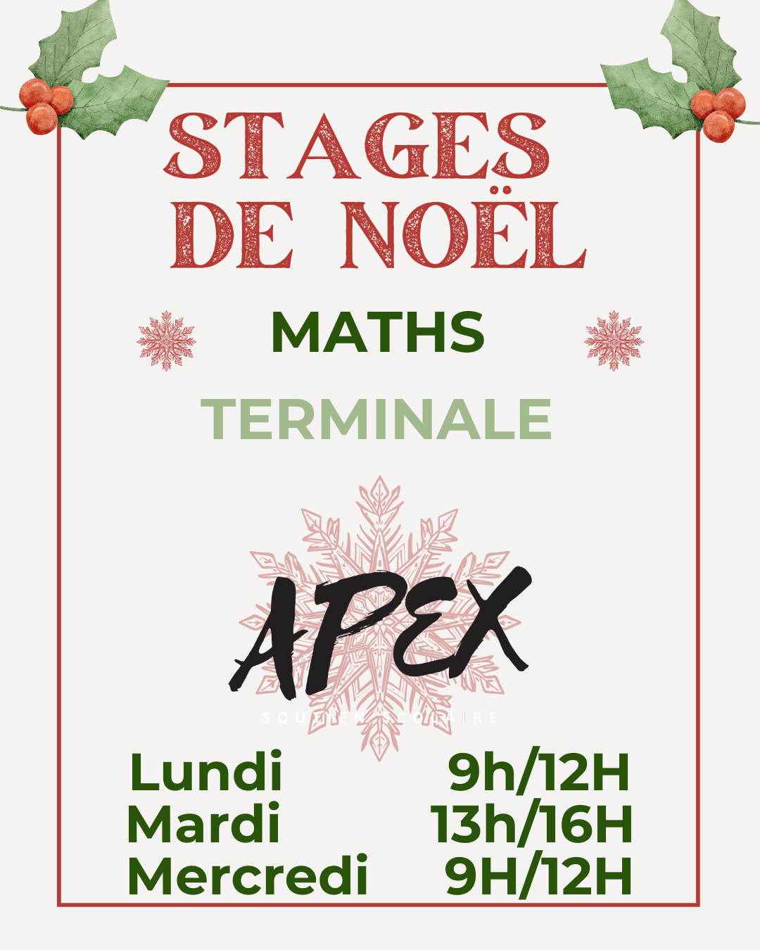 Stage-de-Noël-maths-terminale