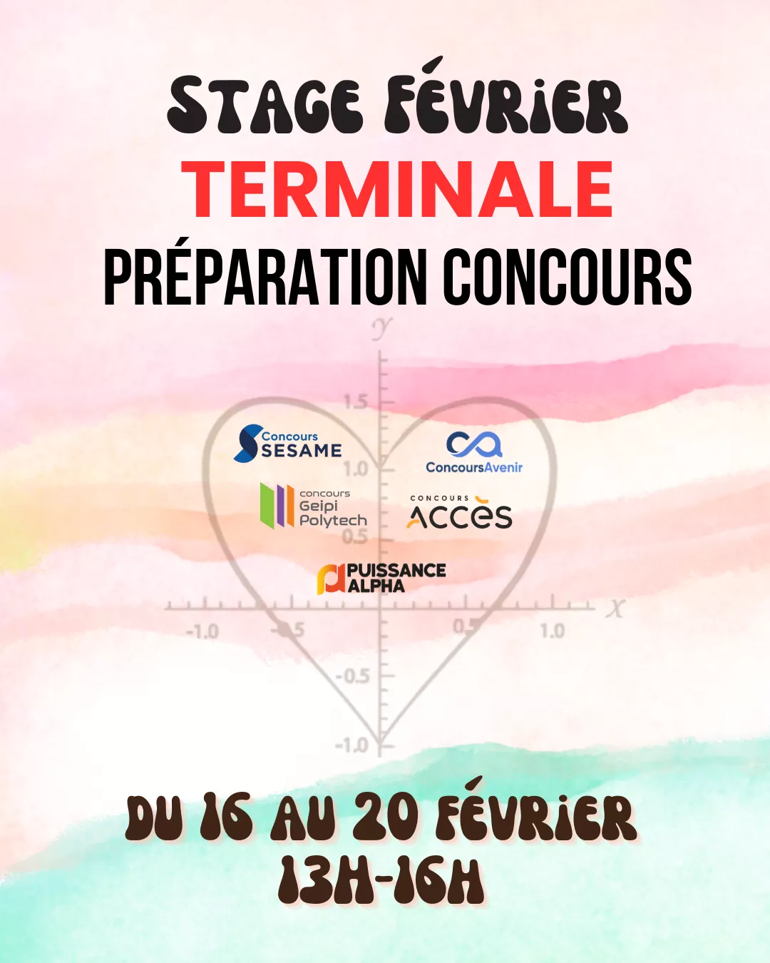 Stage terminale concours